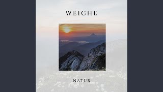 Birds Fly Away YouTube