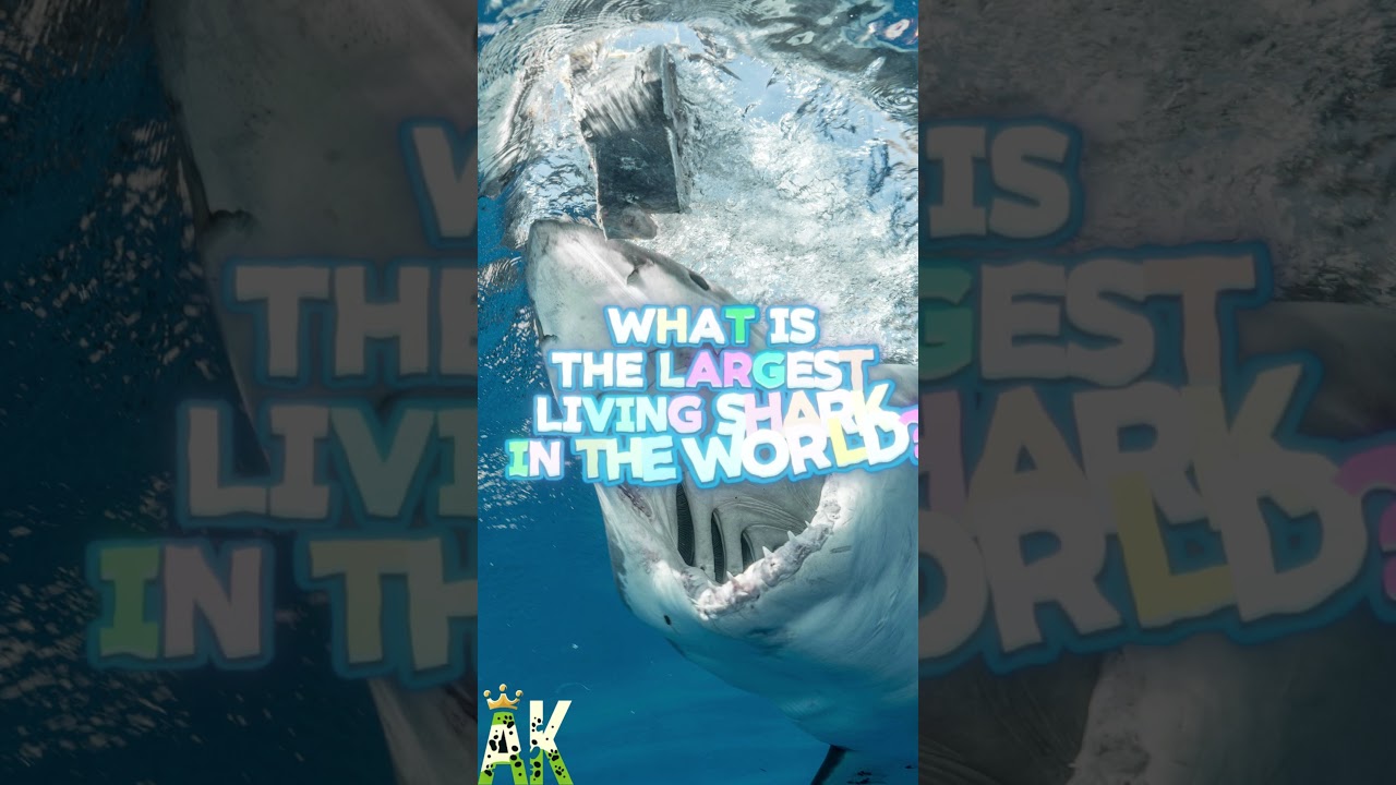 You Think You Know Sharks But Can You Get This Right?  