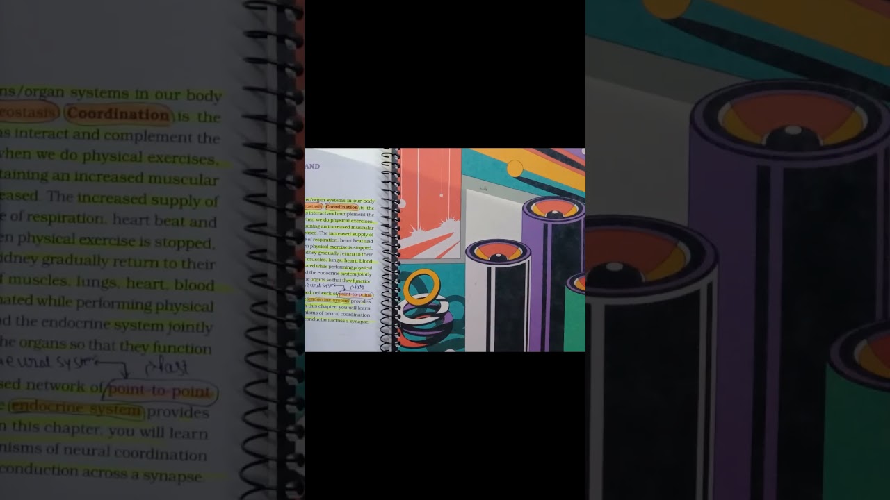 Day-05/7| They scroll, I study 🩺🧠📚|Neet 📌|#study #motivation #neet #biology #shortvideo #yshort