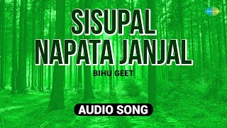 Sisupal Napata Janjal | Bihu Geet | Snehalata Das | Sudhir Das | অসমীয়া গীত | Assamese Song