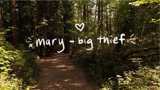 mary - big thief