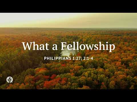 What a Fellowship | Our Daily Bread | Daily Devotional