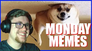 Monday Memes #1 | Funny Memes Reaction Compilation