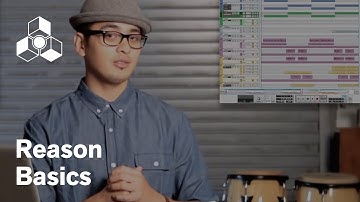 Reason for Beginners