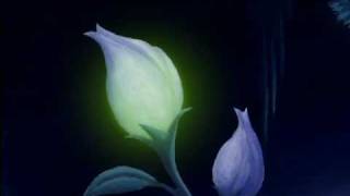 Seven Saturdays - New Hope In Soft Light screenshot 2