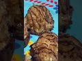 🤎Salted Caramel Coconut 🥥 Macaroon….. #shortvideo