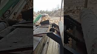 Automatic Veneer Peeling Line #machine #wood #veneer #plywood #focusmach
