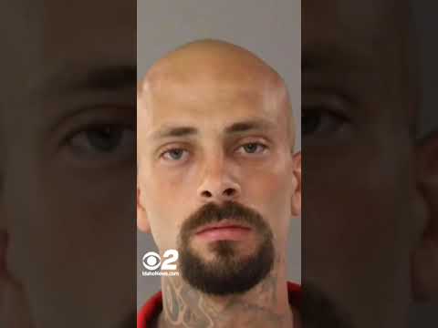 Escaped Idaho white supremacist, Skyler Meade, arraigned Wednesday