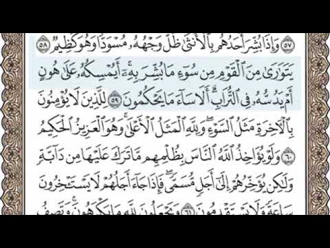 سورة النحل الصفحة 273 الشيخ محمد صديق المنشاوي