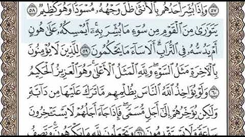 سورة النحل الصفحة 273 الشيخ محمد صديق المنشاوي