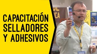 Adhesivo y Selladores