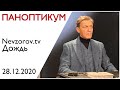 Невзоров. Паноптикум на тв Дождь/  28.12.20. Год Ковида. 2021 - как это будет.