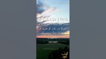 تلاوة طيبة خاشعة من سورة آل عمران ، القارئ محمود المبيض #محمد_رسول_الله #صلى_الله_عليه_وسلم
