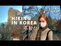 Life in Korea VLOG | Falling in Love with Cheongsong and Hiking Juwangsan