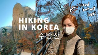 Life in Korea VLOG | Falling in Love with Cheongsong and Hiking Juwangsan