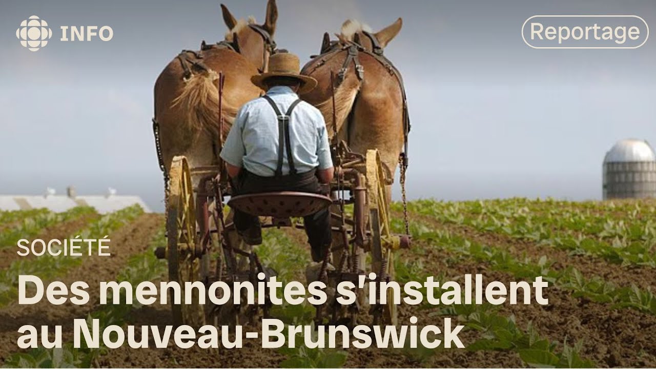 Trois familles de mennonites arriveront au Nouveau-Brunswick cette