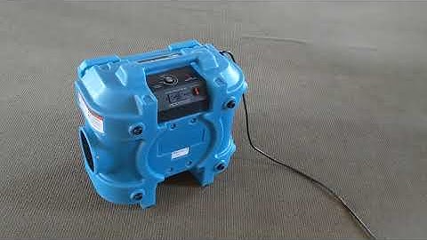 Commercial Mold Remediation Project Walk Through