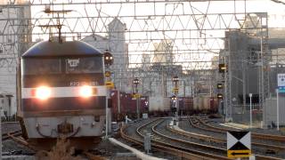 84レ EF210-161 2011/11/22 平野
