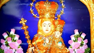 Live-our lady of vailankanni -vailankannni shrine -7th novena,english
mass at 10am, 5th sept. 2020.