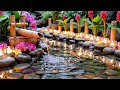 🕊️ Heavenly Bird Sounds &amp; Bamboo Zen 🎹 Peaceful Piano Music for Sleep, Meditation &amp; Relaxation