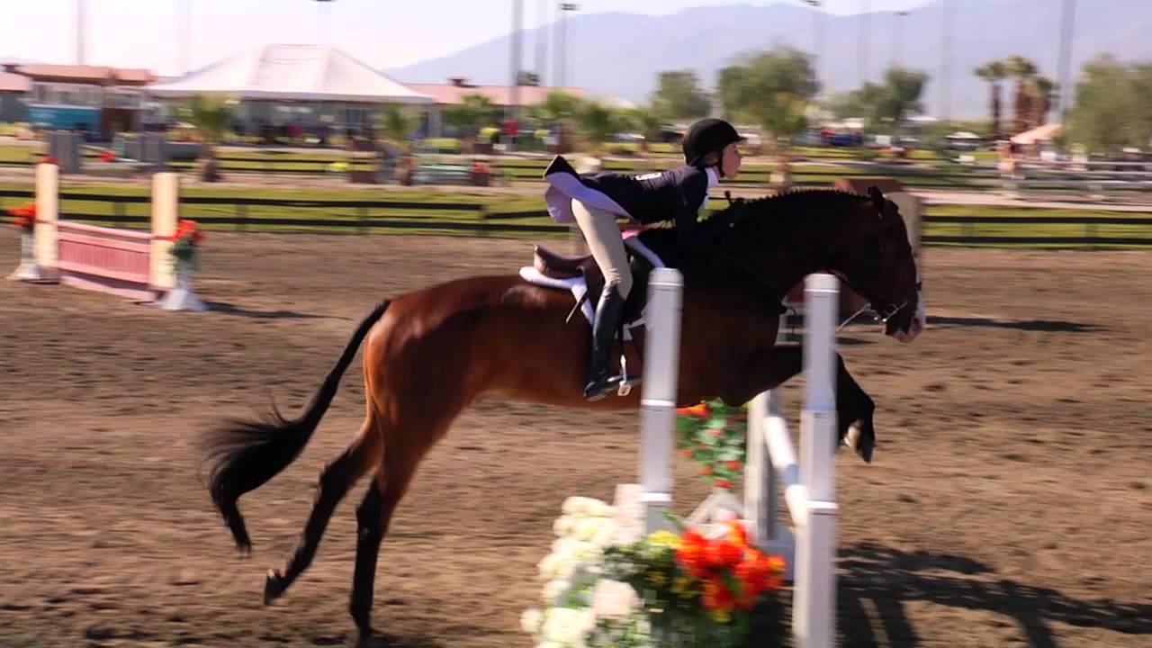 Tommi Stockham Thermal Horse Show Week 7 Full Rounds YouTube