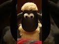 ショーンと仲間たちが楽器を修理した 🐑🌟🎵 | ひつじのショーン #shorts