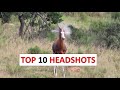 10 insane hunting headshots