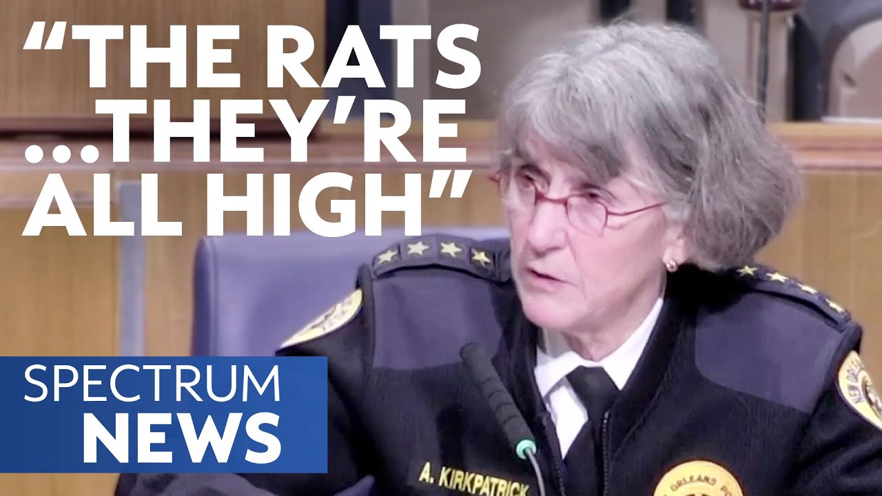 New Orleans Rats Are Eating Evidence and Getting High | Spectrum News