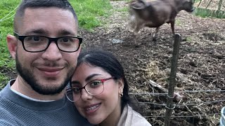 This Rosarito Restaurant Has a GIANT Tree Inside! 🌳🇲🇽 (Los Robles Review)