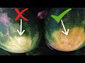 How to Pick a Good Watermelon