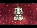 TEN PINO EN TU CASA! PROXIMAMENTE🔥🎄