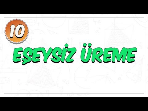 10. Sınıf Biyoloji | Eşeysiz Üreme