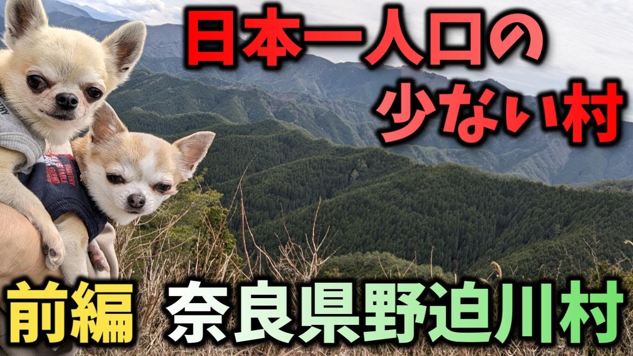 日本一人口の少ない村。野迫川村に行ってみた。前編。（奈良県、野迫川村、廃校、廃屋、立里荒神社、高野豆腐伝承館、過疎、限界集落、チワワ、スムチー、スムースチワワ、スムースコートチワワ、犬と旅）