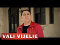 VALI VIJELIE - Decat sa plang (VIDEO OFICIAL 2016)