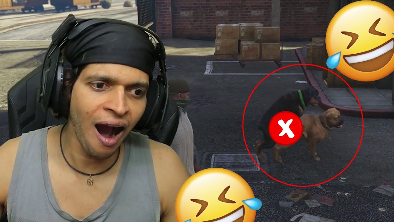 GTA 5 Собаки под прикрытием