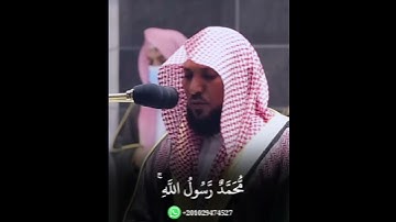 حالات واتس اب قرآن بصوت الشيخ ماهر المعيقلي_ محمد رسول الله _ سورة الفتح