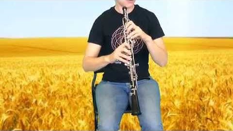 How to Hold the Oboe - Basic Hand Position