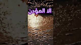 حكمة اليوم #fyp #viral #viralvideo #viralshorts #video #foryou