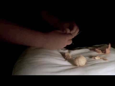 Winded Video