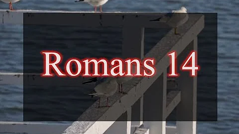 A reading of Romans 14 from the New Living Translation
