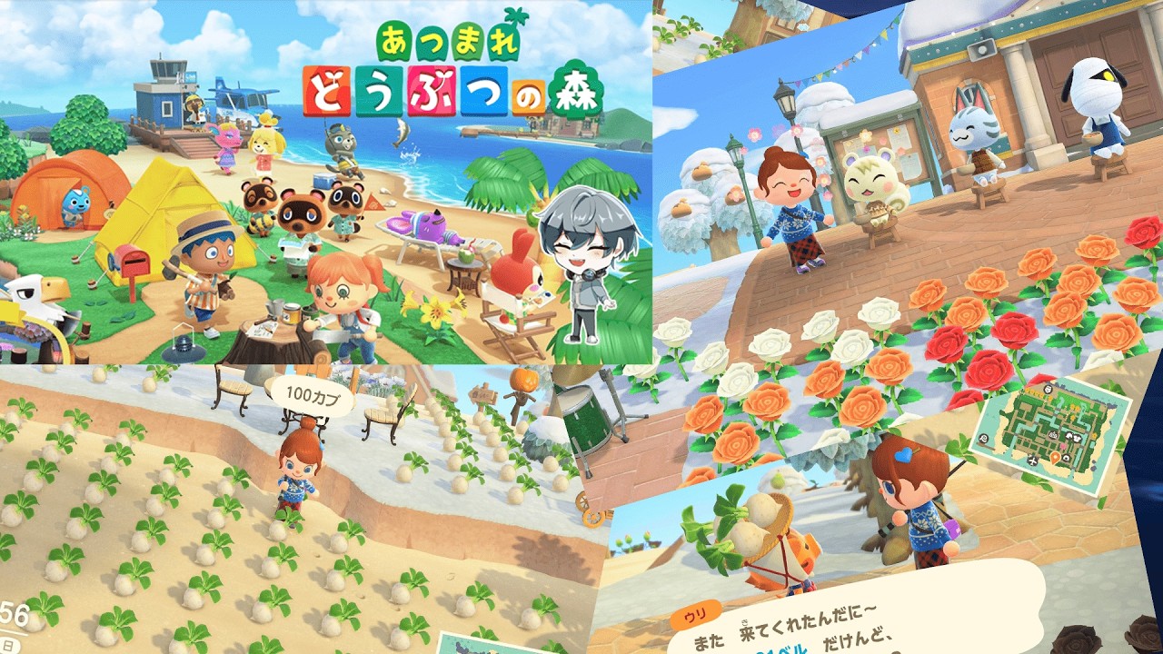 【あつ森】　ただカブを買いにいくだけの配信　2026/03/01