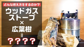 ウッドストーブに広葉樹の薪を詰めて燃やしてみた結果・・・【ウッドストーブ】