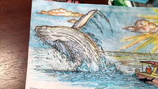 Humpback Whale Coloring Sheets - Color Session (sped-up)