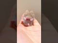 Hamster or Bee #hamster #cute #animals #funny