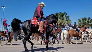 2022 Rio Grande Valley Livestock Show parade in Mercedes, Texas.