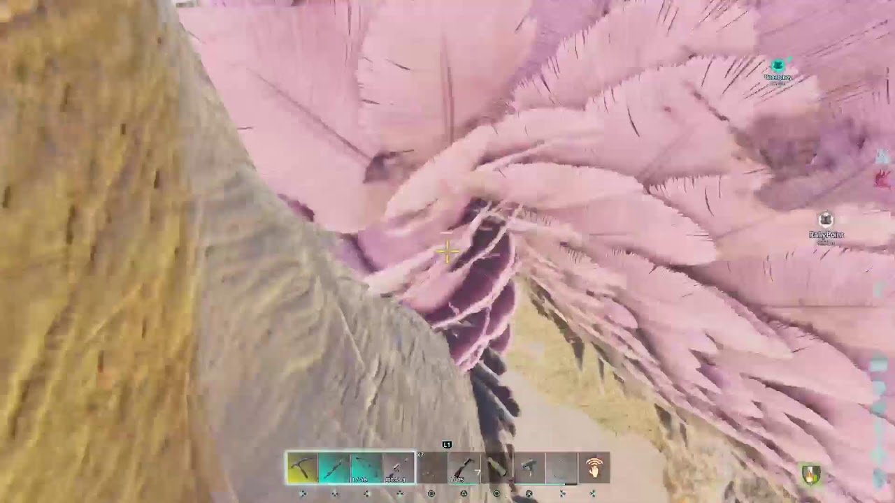 Rag Boss Today?- Ark Ascended PVP SmallTribes - YouTube