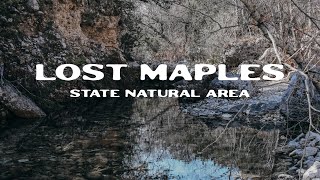 Lost Maples state park  in 2021 | Where to Hike in Texas | Texas Trailhead