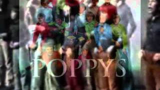 Les Poppys-Non Ne Criez Pas chords