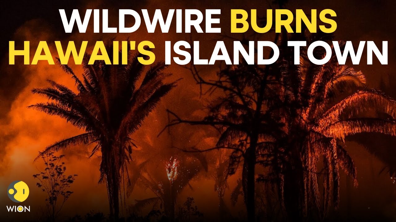 Maui Wildfires LIVE: After Maui wildfires kill 96, search for the missing continues | Hawaii LIVE