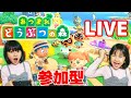 🌲あつ森🌲ライブ配信☆ひまわり島にいらっしゃ~い!まーちゃんおーちゃんと遊ぼう!